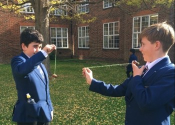 Conkers!Â KS3 Science Club