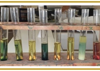 KS4 Chemistry Club - Rust!