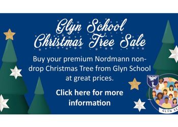 CHRISTMAS TREES (PREMIUM NORDMANN - NON-DROP)