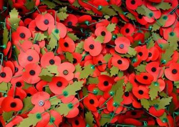 Poppy Appeal - Â£200.45